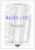 Blues & Co (B) Akkordeon-Solo